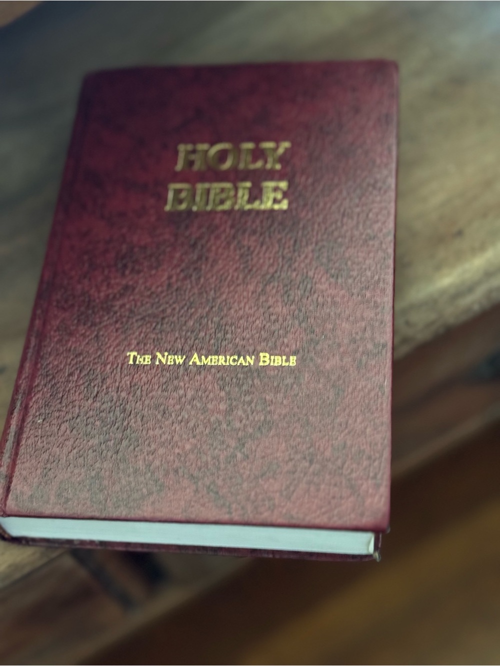 Holy Bible - The New American Bible - Picture 1 of 11